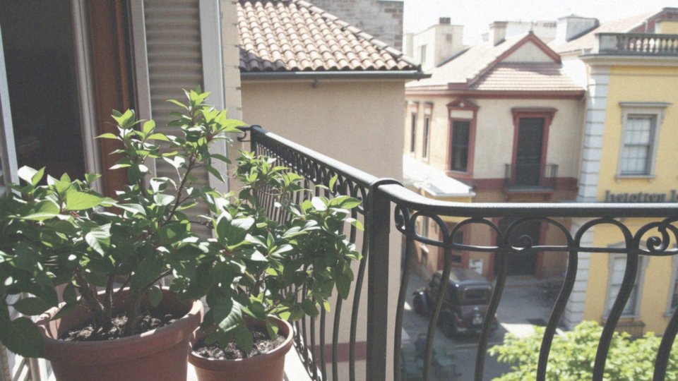 Jakie są koszty wynajmu i zakupu mieszkań w Argentynie?